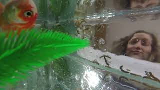 Lake Ecology Educational Program: Introduction