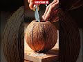 🔥 “Knife vs Coconut Ball — The Cut You Can’t Stop Replaying!”