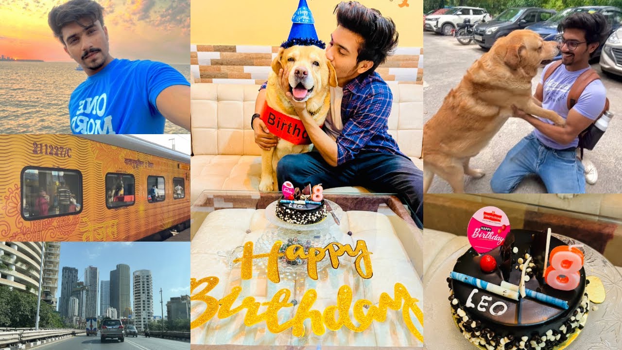 Travelling 1500kms to celebrate my dog’s birthday🎂 ️ | Anant rastogi ...