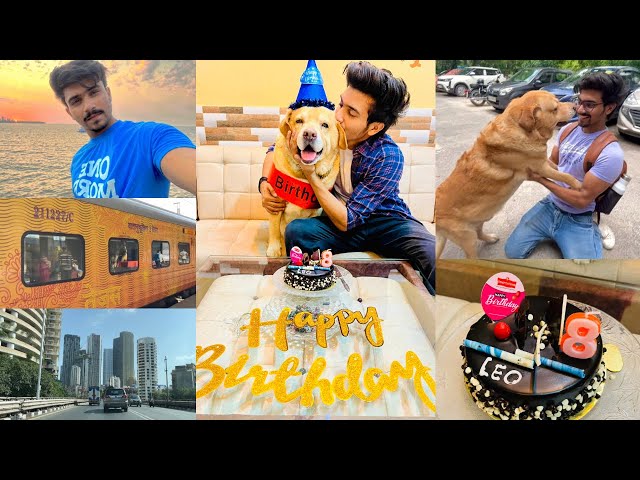 Travelling 1500kms to celebrate my dog’s birthday🎂❤️ | Anant rastogi class=