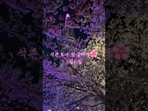 2026 석촌호수 벚꽃야경 #shorts