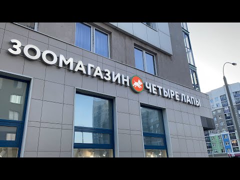 Зоомагазин «Четыре лапы»