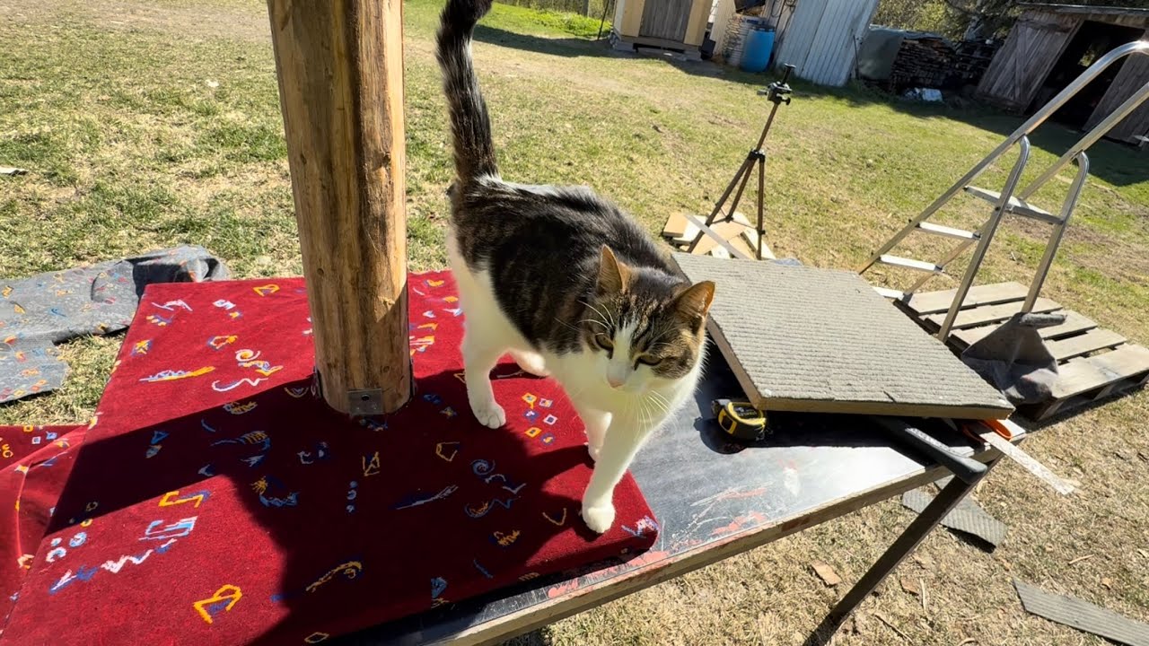 Rakennetaan kissojen kiipeilypuu uudestaan