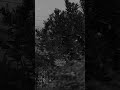 تجربه كانت حياتي وانه جربتها معاج 