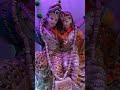 Vrindavan mein bas jaane ko #shorts #radhekrishna #radheradhe #vrindavan #vrindavandham #bhajan