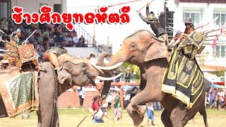 ช้างศึก ยุทธหัตถี งานแสดงช้างจังหวัดสุรินทร์ ปี 2566 Amazing Surin Elephant Round-up 2023