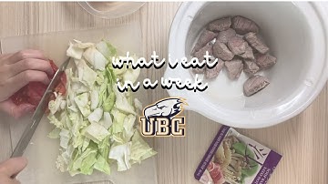 what i eat in a week (ubc first year)