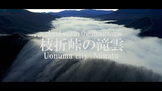 枝折峠の滝雲 雲海 4kドローン映像 新潟県魚沼市 Youtube