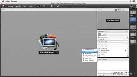 Adobe Connect Tutorial # 18 status