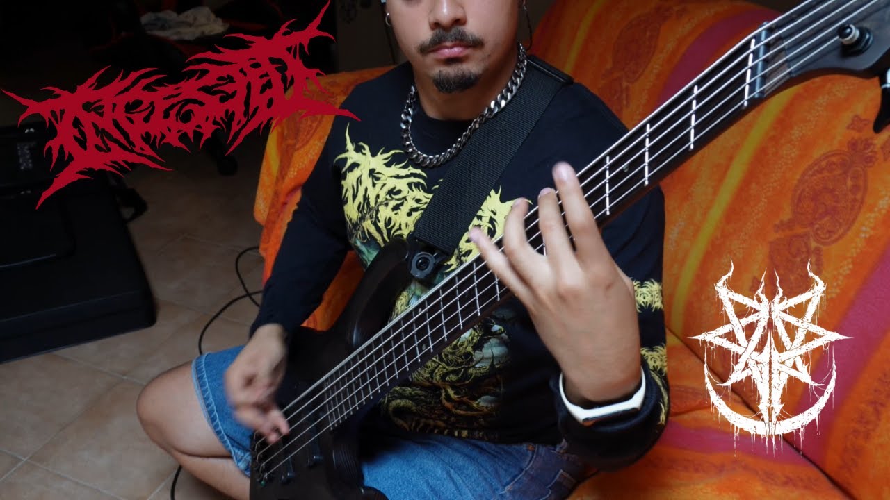 Ingested | Invidious (Bass Cover)