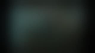 story wa the warriors