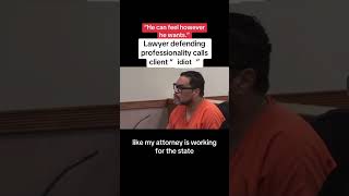 Lawyer Defending Professionalism Calls Client ‘An Idiot’