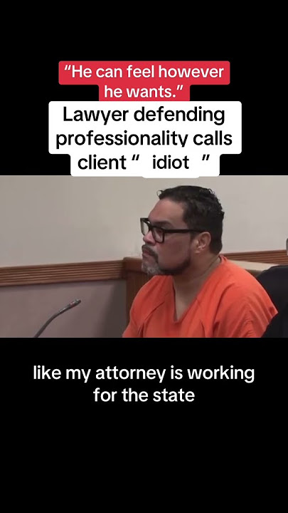 Lawyer Defending Professionalism Calls Client ‘An Idiot’