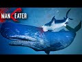 GIANT SPERM WHALE IS TOO POWERFUL !!! - Maneater Gameplay | Part 5