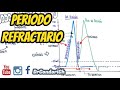 Que es el periodo refractario? (absoluto y relativo) Fisiología (fácil)