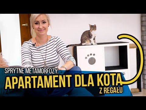 Domek dla kota / łatwy projekt / Twój kot to pokocha