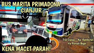 BUS PRIMADONANYA ORANG CIANJUR‼️ MELEWATI KABUT PUNCAK‼️ Trip Cianjur - Kp. Rambutan