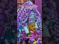 శ్రీ మాతా నిమిషాంబికా దేవి ఆలయం #boduppal #temple  #shortsfeed #ytshorts #devotional #viral