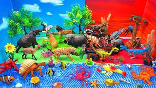 Explore Ice Desert Jungle and Dinosaur Worlds | Fun Animal Names Learning for Kids