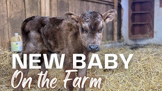 Surprise! New Baby on the Farm