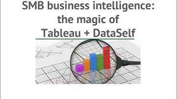 SMB Business Intelligence: The magic of Tableau and DataSelf