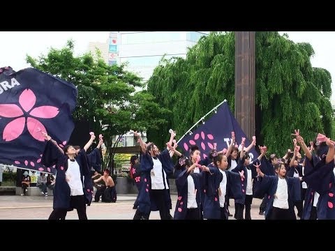 TEAM SAKURA yosakoiさんさ2014