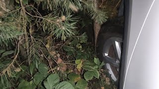 Crushing Plants In The Forest Under My Audi Suv Tire. Night Scenery. Barefoot Press Pedals. Exciting