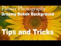 Flower photographydreamy bokeh background camera and editing tips and tricksps  topaz mask ai