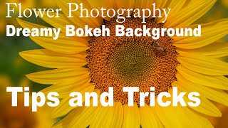 FLOWER PHOTOGRAPHY:Dreamy Bokeh Background (Camera and Editing TIPS and TRICKS)PS & TOPAZ MASK AI screenshot 2
