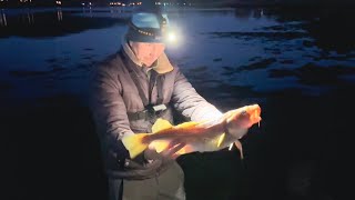 ПОПАЛ на Ночной ЖОР! Рыбалка в Норвегии на Донки! Обзор фонарика Armytek Wizard C2 Pro