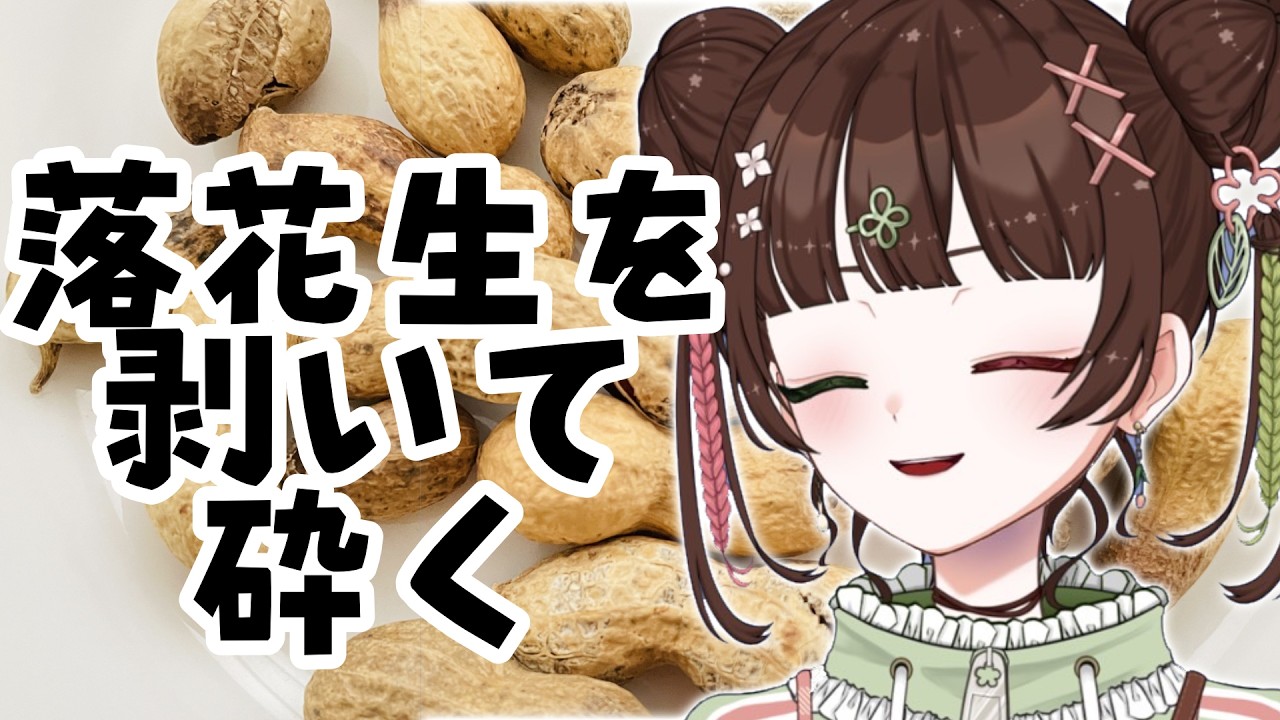 【作業雑談?】節分で撒いた落花生をどうにかしたい【炊飯姫】