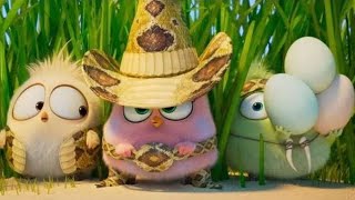 The Angry Birds 2 - Wittle Sisters | Fandango Family