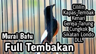 MURAI BATU GACOR FULL ISIAN TEMBAKAN MEWAH, CILILIN KENARI GEREJA LOVEBIRD SIKATAN LONDO CUNGKOK DLL