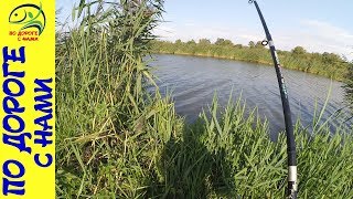 Рыбалка на КАРПА летом ǀ КАРП НА ПОПЛАВОК ǀ маленькое и КЛЁВОЕ озерцо