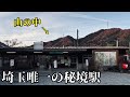 【鉄オタの9割が知らない】埼玉県に1つだけある秘境駅に行ってみた