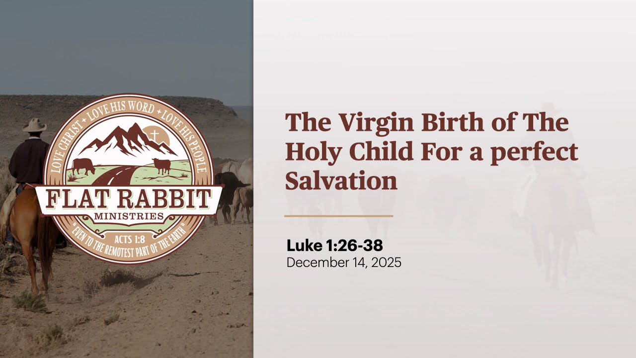 The Virgin Birth and the God's Protection of Our Salvation // Luke 