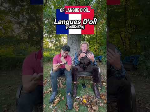 Lenguas originarias de Francia, aparte del francés