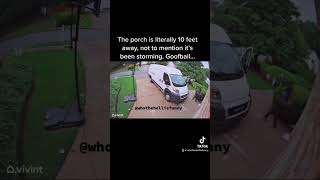 Good help is hard to find! #lazy #worker #delivery #package #goofy