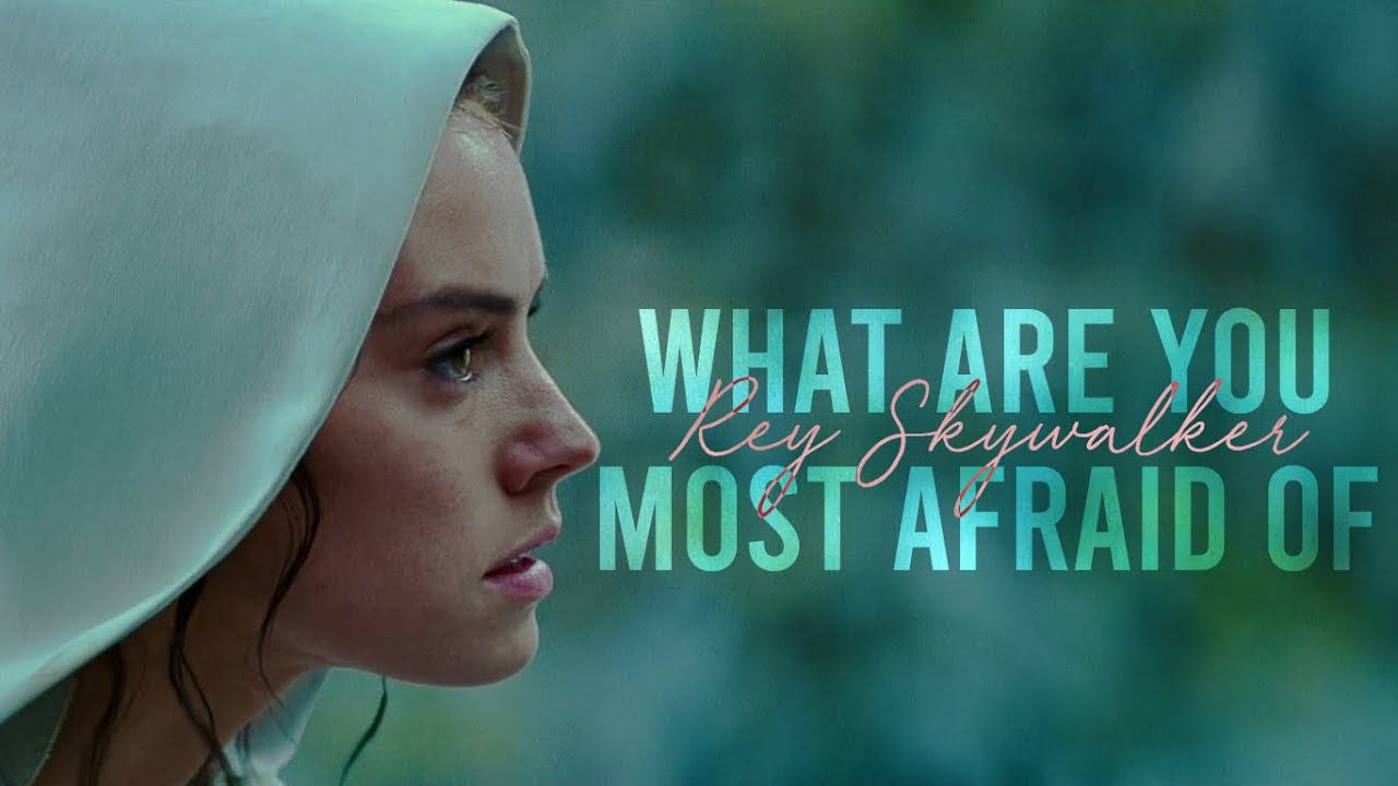 Afraid more afraid the most afraid
