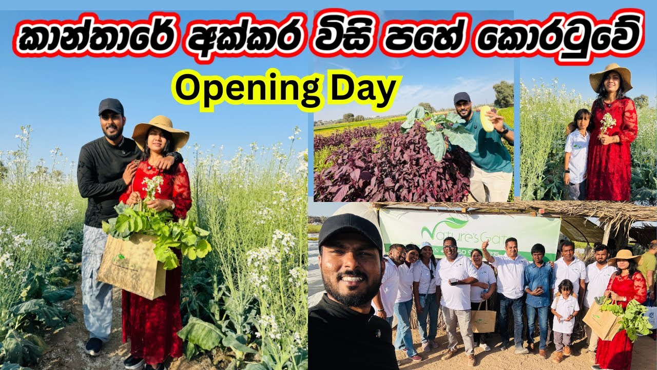 කාන්තාරයක් මැද නුවරඑළියක් බලන්න ආපූ ජන ගංගාව🇱🇰🥕🥬| Bio Farm tour |Organic farming in Ras Al-khaimah