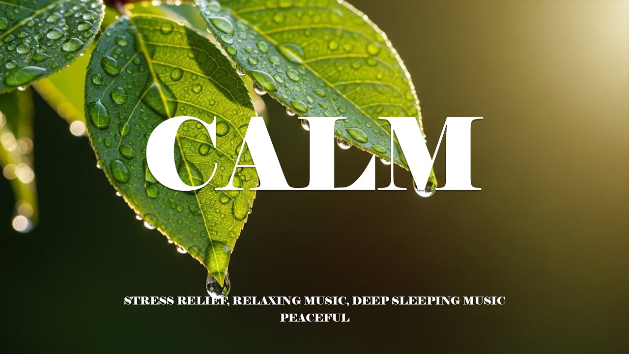 CALM Soaking worship Relieve stress, stop overthinking, relaxing music & nature sounds for sleep