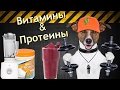 Рецепт протеинового коктейля с витаминами для блендера Lequip BS7