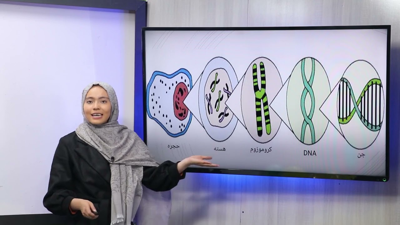 29 صنف دهم مضمون بیولوژی تناسب در تجارب مندل وراثت و صفات