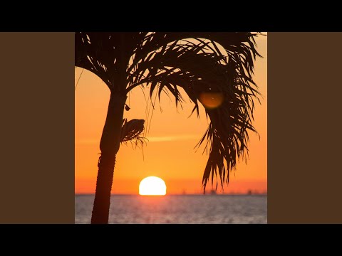 Sunset Memories