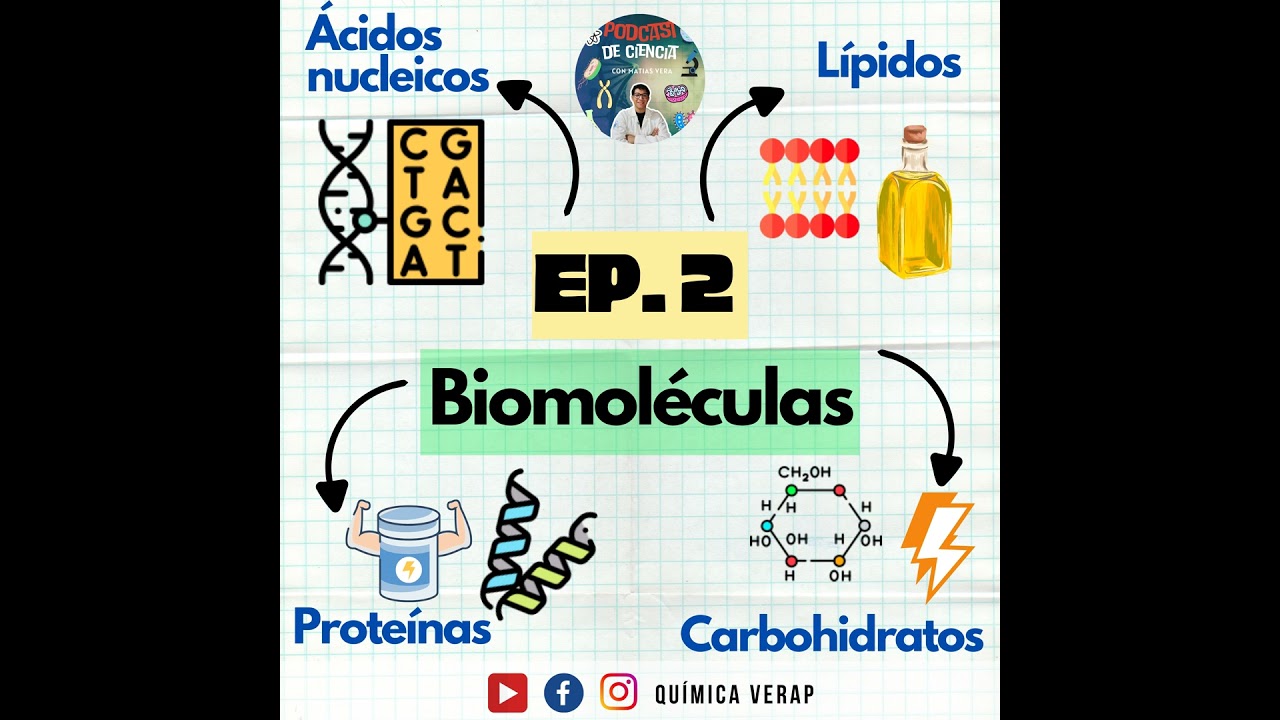 Biomoléculas (Proteínas, Carbohidratos, Lípidos y Ácidos nucleicos)-Podcast de Ciencia