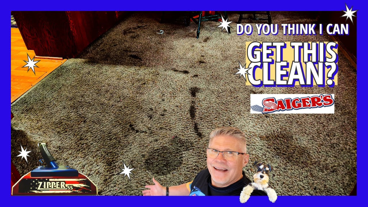 How many think I CANNOT get these TRASHED Carpets Clean? YouTube