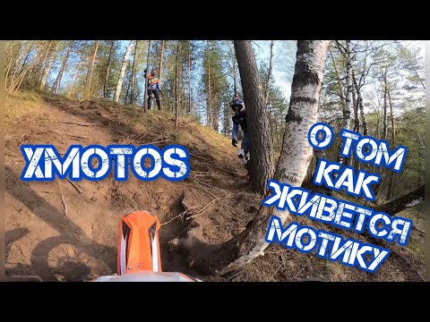 Xmotos спустя 15