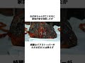 1億円の宝石をドアストッパーとして使っていたおばあちゃん#雑学 #shorts