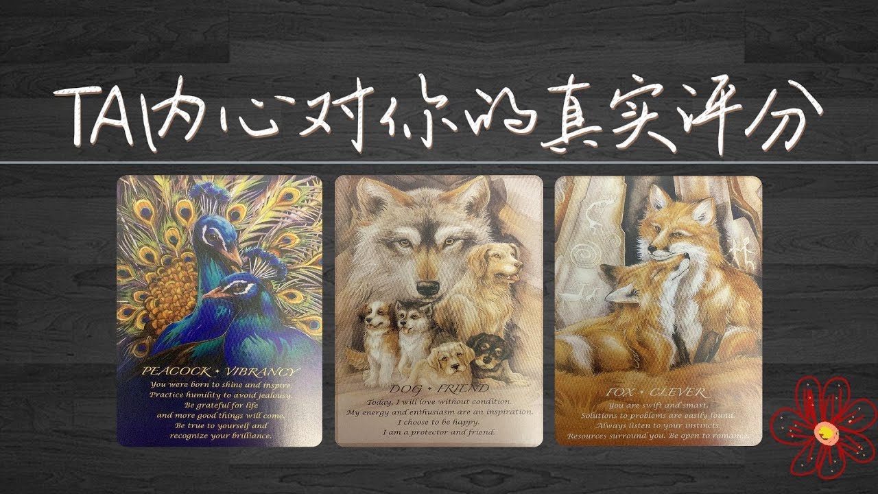 TA内心深處對你的真實評分，隱藏好感度vs表面態度（含暗示信號）   |曖昧|愛情|戀愛|桃花|塔羅占卜|