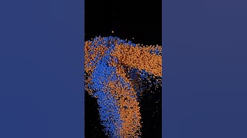 Particles Collision Simulation